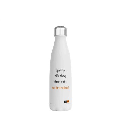Μεταλλικό Μπουκάλι 750ml Τον πετάω και τον πιάνεις